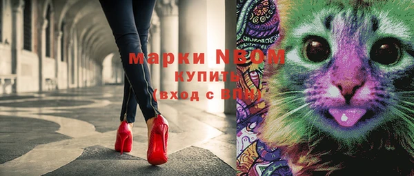 мдпв Володарск