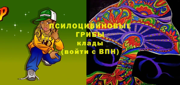 мдпв Володарск
