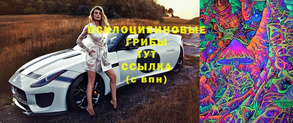 мдпв Володарск